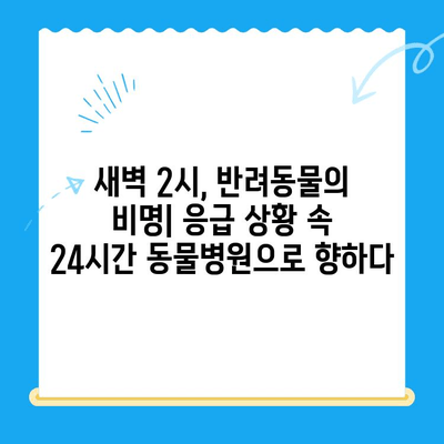 24시간 동물병원, 응급 상황 속 나의 반려동물 골절 치료 경험 | 애완동물, 골절, 응급처치, 24시간 동물병원