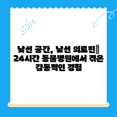 24시간 동물병원, 응급 상황 속 나의 반려동물 골절 치료 경험 | 애완동물, 골절, 응급처치, 24시간 동물병원