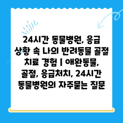 24시간 동물병원, 응급 상황 속 나의 반려동물 골절 치료 경험 | 애완동물, 골절, 응급처치, 24시간 동물병원