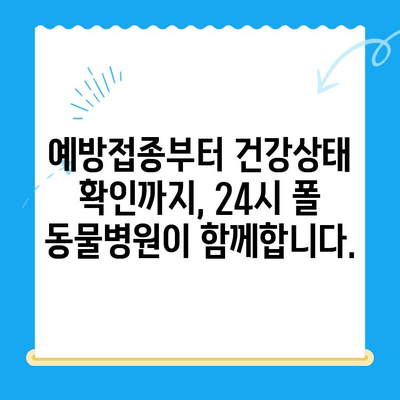고양이 건강 지키기, 24시 폴 동물병원과 함께하는 필수 건강검진 | 고양이 건강검진, 24시 동물병원, 건강관리, 예방접종, 건강상태 확인