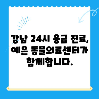 강남 24시 동물병원, 최고의 의료진과 CT 보유| 예은 동물의료센터 | 강남, 24시, 동물병원, 응급, 진료, CT