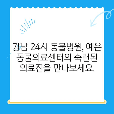 강남 24시 동물병원, 최고의 의료진과 CT 보유| 예은 동물의료센터 | 강남, 24시, 동물병원, 응급, 진료, CT