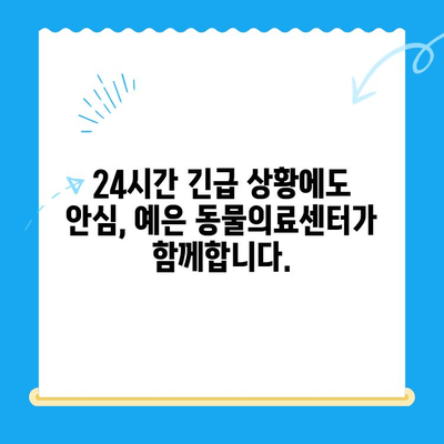 강남 24시 동물병원, 최고의 의료진과 CT 보유| 예은 동물의료센터 | 강남, 24시, 동물병원, 응급, 진료, CT