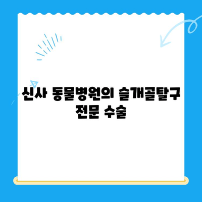 신사 동물병원의 슬개골탈구 전문 수술| 강아지 슬개골탈구 치료, 수술 후 관리까지 | 슬개골탈구, 강아지 수술, 신사 동물병원