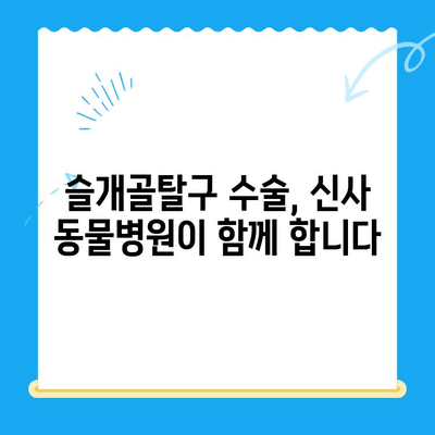 신사 동물병원의 슬개골탈구 전문 수술| 강아지 슬개골탈구 치료, 수술 후 관리까지 | 슬개골탈구, 강아지 수술, 신사 동물병원