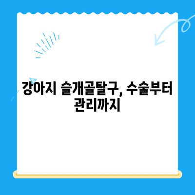 신사 동물병원의 슬개골탈구 전문 수술| 강아지 슬개골탈구 치료, 수술 후 관리까지 | 슬개골탈구, 강아지 수술, 신사 동물병원