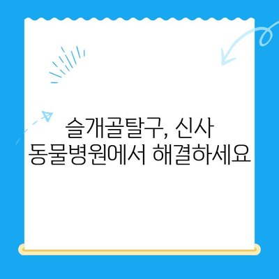 신사 동물병원의 슬개골탈구 전문 수술| 강아지 슬개골탈구 치료, 수술 후 관리까지 | 슬개골탈구, 강아지 수술, 신사 동물병원