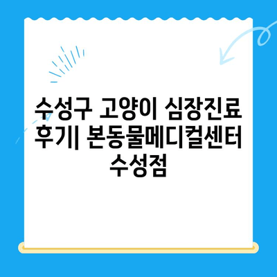 수성구 고양이 심장진료 후기| 본동물메디컬센터 수성점 | 고양이 심장병, 동물병원 추천, 진료 후기