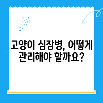 수성구 고양이 심장진료 후기| 본동물메디컬센터 수성점 | 고양이 심장병, 동물병원 추천, 진료 후기