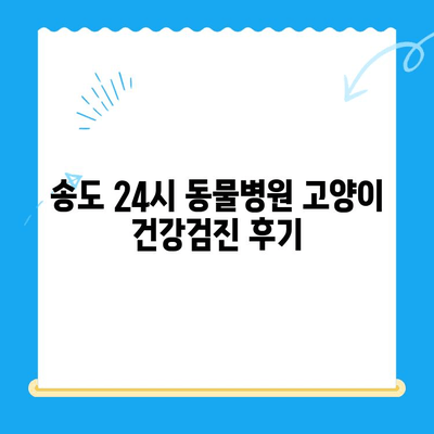 송도 24시 동물병원 고양이 건강검진 후기| 친절한 진료와 꼼꼼한 검사 후기 | 송도 동물병원, 고양이 건강검진, 24시 동물병원