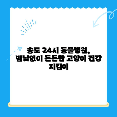 송도 24시 동물병원 고양이 건강검진 후기| 친절한 진료와 꼼꼼한 검사 후기 | 송도 동물병원, 고양이 건강검진, 24시 동물병원