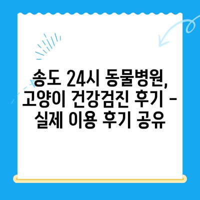 송도 24시 동물병원 고양이 건강검진 후기| 친절한 진료와 꼼꼼한 검사 후기 | 송도 동물병원, 고양이 건강검진, 24시 동물병원