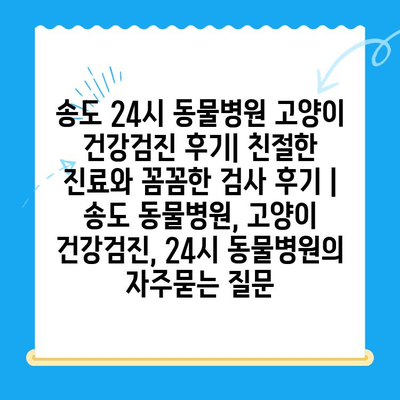 송도 24시 동물병원 고양이 건강검진 후기| 친절한 진료와 꼼꼼한 검사 후기 | 송도 동물병원, 고양이 건강검진, 24시 동물병원