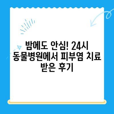 24시 동물병원 강아지 피부염 치료 후기| 효과적인 치료 경험 공유 | 강아지 피부병, 피부염 치료, 동물병원 후기