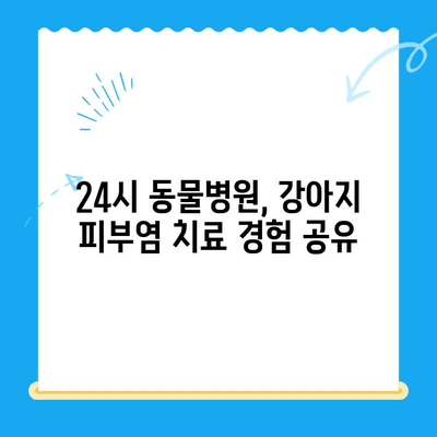 24시 동물병원 강아지 피부염 치료 후기| 효과적인 치료 경험 공유 | 강아지 피부병, 피부염 치료, 동물병원 후기