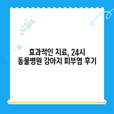 24시 동물병원 강아지 피부염 치료 후기| 효과적인 치료 경험 공유 | 강아지 피부병, 피부염 치료, 동물병원 후기