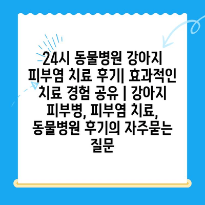 24시 동물병원 강아지 피부염 치료 후기| 효과적인 치료 경험 공유 | 강아지 피부병, 피부염 치료, 동물병원 후기