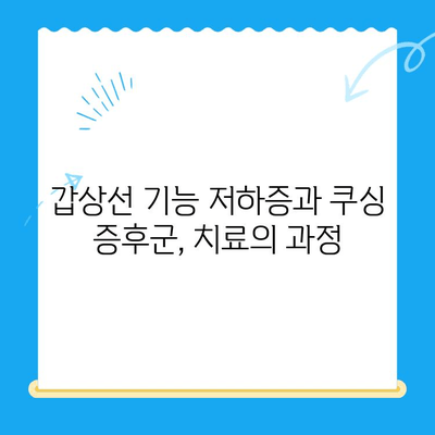 갑기저와 쿠싱증후군 치료 후기| 안산 24시 동물병원에서 경험한 이야기 | 반려동물, 갑상선 기능 저하증, 쿠싱 증후군, 안산 동물병원