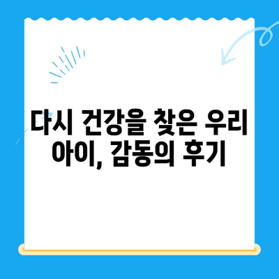 갑기저와 쿠싱증후군 치료 후기| 안산 24시 동물병원에서 경험한 이야기 | 반려동물, 갑상선 기능 저하증, 쿠싱 증후군, 안산 동물병원