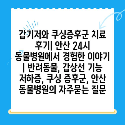 갑기저와 쿠싱증후군 치료 후기| 안산 24시 동물병원에서 경험한 이야기 | 반려동물, 갑상선 기능 저하증, 쿠싱 증후군, 안산 동물병원