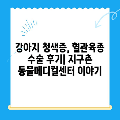 [강아지 청색증 혈관육종 수술 후기] 양천구 24시 지구촌 동물메디컬센터에서 경험한 이야기 | 청색증, 혈관육종, 동물병원, 수술 후기, 양천구