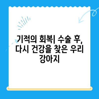 [강아지 청색증 혈관육종 수술 후기] 양천구 24시 지구촌 동물메디컬센터에서 경험한 이야기 | 청색증, 혈관육종, 동물병원, 수술 후기, 양천구