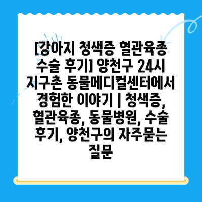 [강아지 청색증 혈관육종 수술 후기] 양천구 24시 지구촌 동물메디컬센터에서 경험한 이야기 | 청색증, 혈관육종, 동물병원, 수술 후기, 양천구