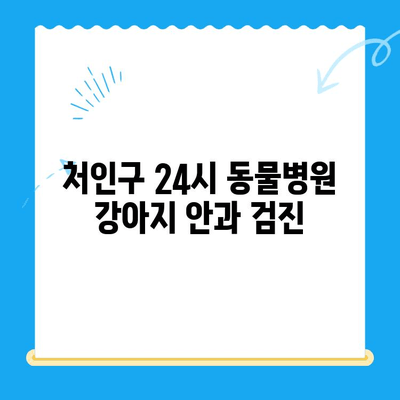 처인구 24시 동물병원 강아지 안과 검진| 눈 건강 지키는 필수 가이드 | 처인구, 동물병원, 안과 검진, 강아지 눈 건강