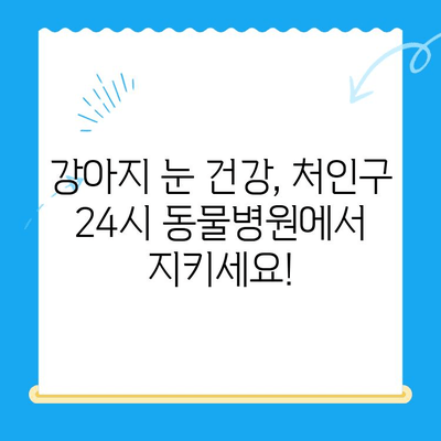 처인구 24시 동물병원 강아지 안과 검진| 눈 건강 지키는 필수 가이드 | 처인구, 동물병원, 안과 검진, 강아지 눈 건강