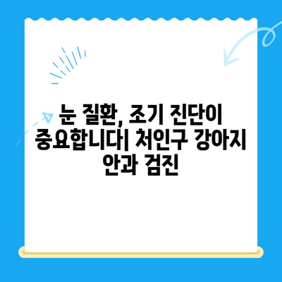 처인구 24시 동물병원 강아지 안과 검진| 눈 건강 지키는 필수 가이드 | 처인구, 동물병원, 안과 검진, 강아지 눈 건강