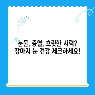 처인구 24시 동물병원 강아지 안과 검진| 눈 건강 지키는 필수 가이드 | 처인구, 동물병원, 안과 검진, 강아지 눈 건강