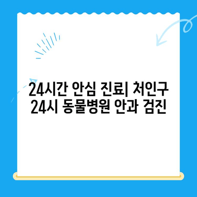 처인구 24시 동물병원 강아지 안과 검진| 눈 건강 지키는 필수 가이드 | 처인구, 동물병원, 안과 검진, 강아지 눈 건강