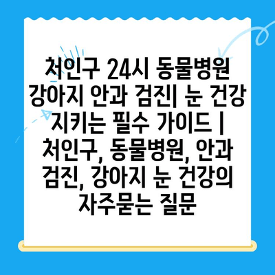 처인구 24시 동물병원 강아지 안과 검진| 눈 건강 지키는 필수 가이드 | 처인구, 동물병원, 안과 검진, 강아지 눈 건강