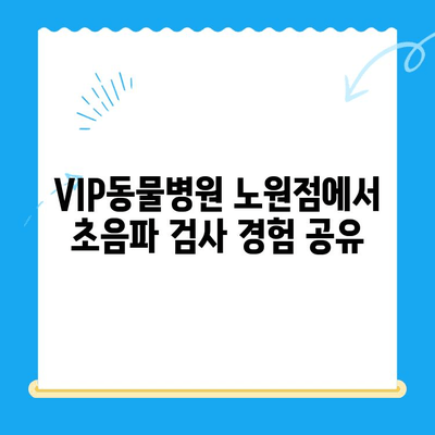 VIP동물의료센터 노원점 강아지 건강검진 & 초음파 검사 후기| 솔직한 경험 공유 | VIP동물병원, 노원, 강아지 건강검진, 초음파 검사