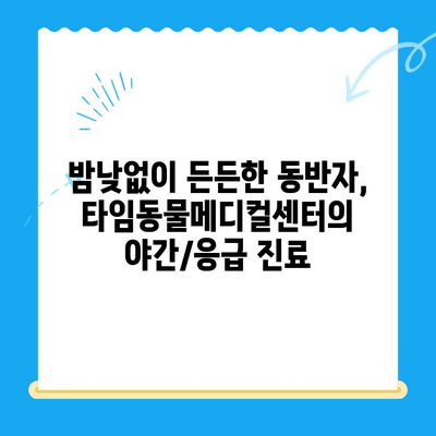 대전 24시간 강아지 건강검진| 타임동물메디컬센터에서 안전하게 | 야간진료, 응급진료, 건강검진, 반려동물