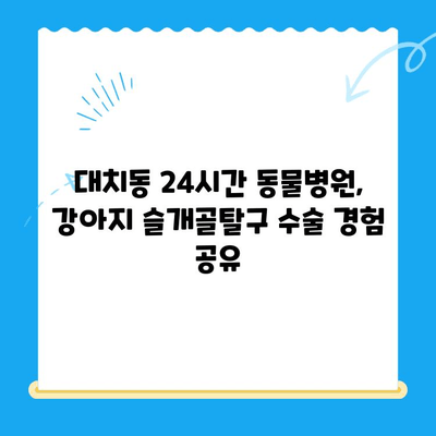 대치동 24시간 동물병원, 강아지 슬개골탈구 수술 경험 공유| 수술 과정부터 회복까지 | 슬개골탈구, 수술 후기, 강아지 건강