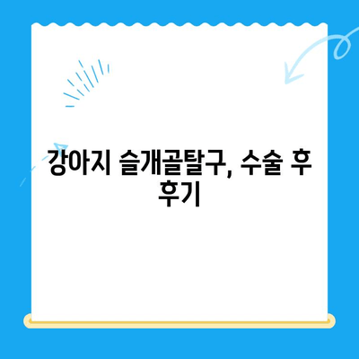 대치동 24시간 동물병원, 강아지 슬개골탈구 수술 경험 공유| 수술 과정부터 회복까지 | 슬개골탈구, 수술 후기, 강아지 건강