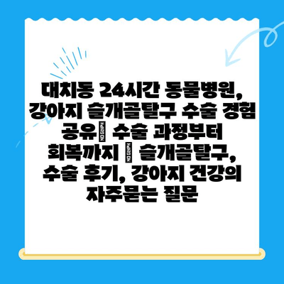 대치동 24시간 동물병원, 강아지 슬개골탈구 수술 경험 공유| 수술 과정부터 회복까지 | 슬개골탈구, 수술 후기, 강아지 건강