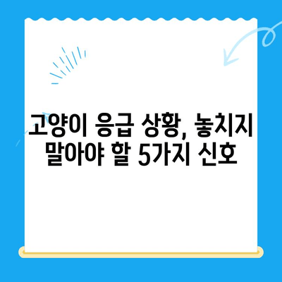 24시간 동물병원에서 고양이 건강 체크| 꼭 알아야 할 5가지 | 고양이 건강, 응급 상황, 동물병원, 건강 관리, 체크리스트