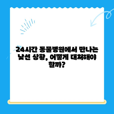 24시간 동물병원에서 고양이 건강 체크| 꼭 알아야 할 5가지 | 고양이 건강, 응급 상황, 동물병원, 건강 관리, 체크리스트