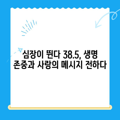 심장이 뛴다 38.5| 24시간 동물병원 기자회견 후기 | 생생한 현장, 감동과 눈물의 이야기