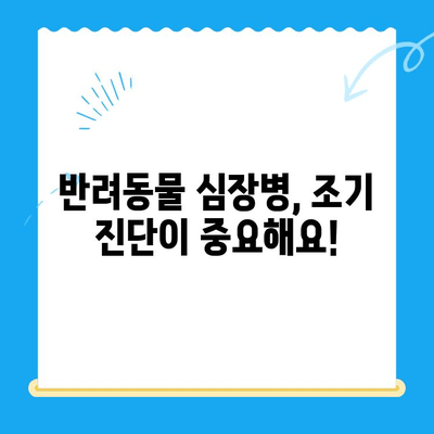 연산동물의료센터 심장 검사 체험담| 댕댕이 