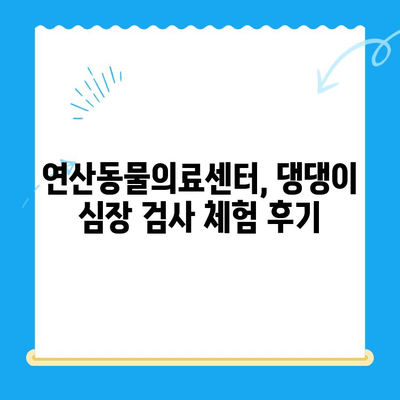 연산동물의료센터 심장 검사 체험담| 댕댕이 