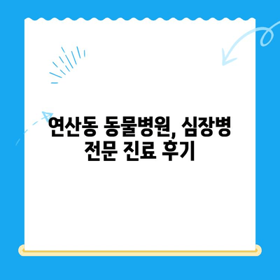 연산동물의료센터 심장 검사 체험담| 댕댕이 