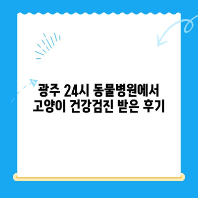 광주 24시 동물병원 고양이 검진 후기| 실제 경험 바탕으로 솔직하게 알려드립니다 | 고양이 건강, 동물병원 추천, 검진 후기