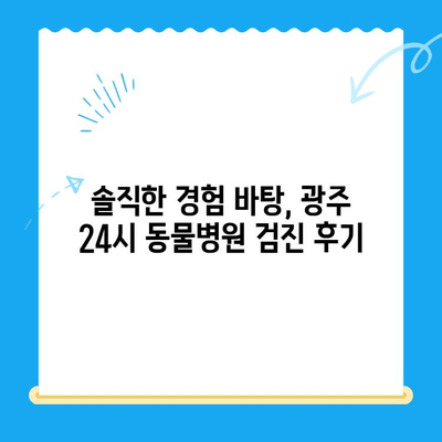 광주 24시 동물병원 고양이 검진 후기| 실제 경험 바탕으로 솔직하게 알려드립니다 | 고양이 건강, 동물병원 추천, 검진 후기