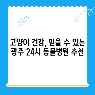 광주 24시 동물병원 고양이 검진 후기| 실제 경험 바탕으로 솔직하게 알려드립니다 | 고양이 건강, 동물병원 추천, 검진 후기