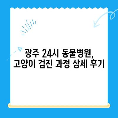 광주 24시 동물병원 고양이 검진 후기| 실제 경험 바탕으로 솔직하게 알려드립니다 | 고양이 건강, 동물병원 추천, 검진 후기