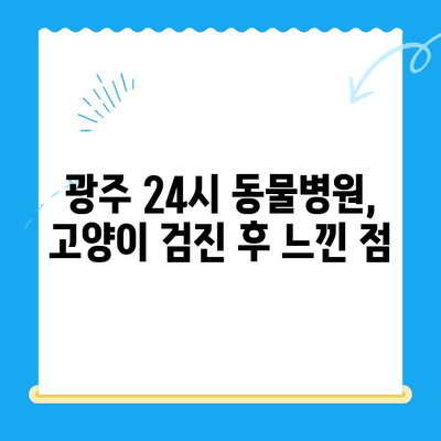 광주 24시 동물병원 고양이 검진 후기| 실제 경험 바탕으로 솔직하게 알려드립니다 | 고양이 건강, 동물병원 추천, 검진 후기