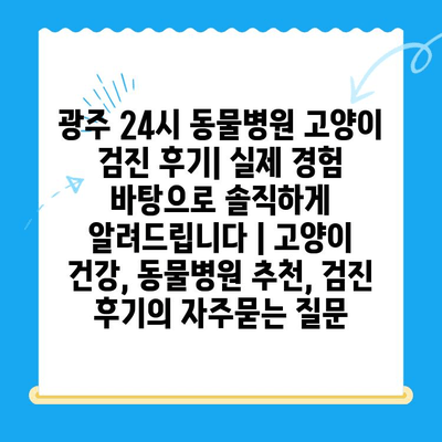 광주 24시 동물병원 고양이 검진 후기| 실제 경험 바탕으로 솔직하게 알려드립니다 | 고양이 건강, 동물병원 추천, 검진 후기